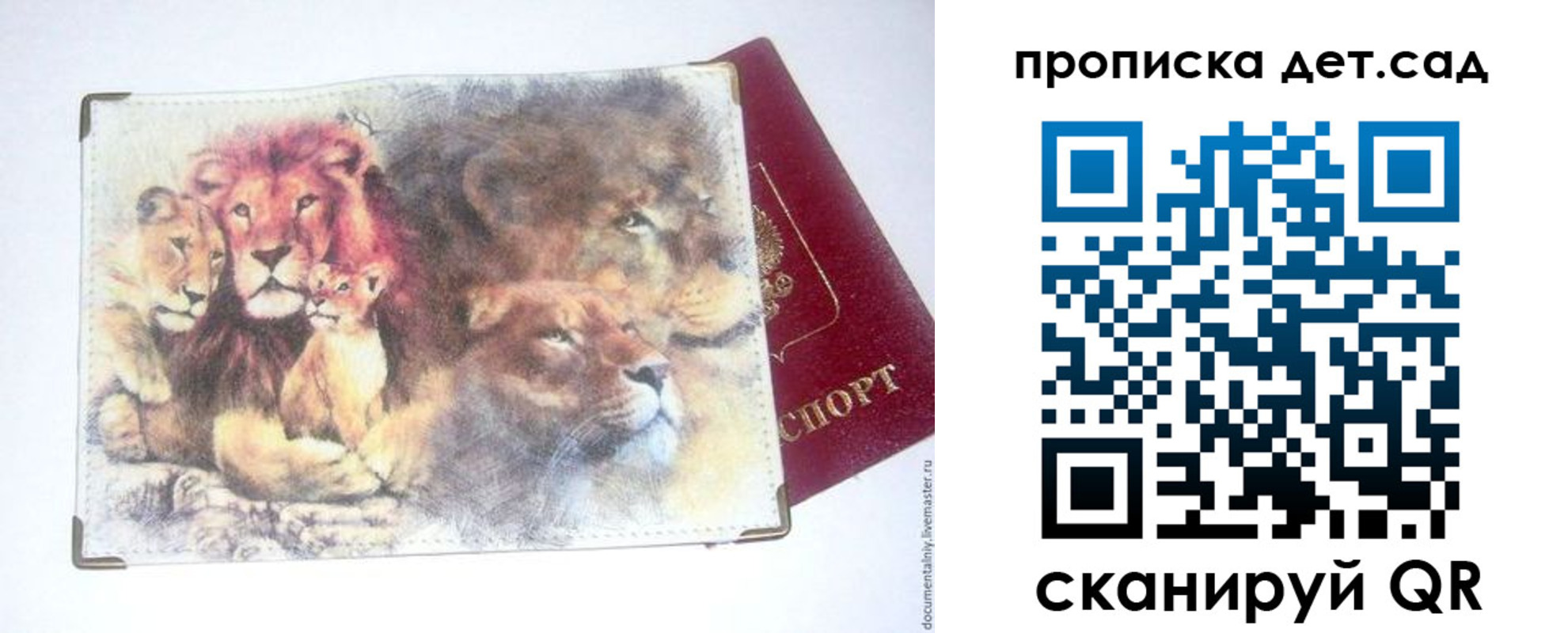 прописка регистрация в Сольцах